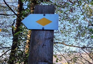 Tocht Stappen Amay - Promenade d’Ombret   - Photo