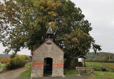 Tocht Stappen Voeren - Fouron-le-Comte (Balade 5) - Photo