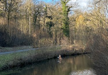 Tour Wandern Wirten - Croix rouge (circ 13k) - Photo