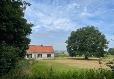 Tocht Stappen Opzullik - Boucle 8km Saint-Marcoult - Photo