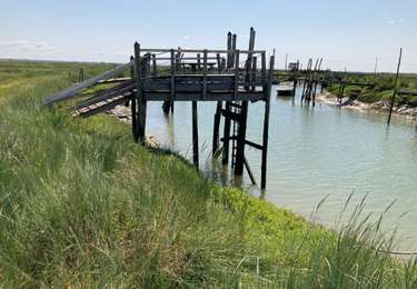 Tour Wandern Étaules - Petite boucle de l’huître - Photo