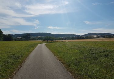 Tocht Te voet Werbach - Liebliches Taubertal – Rundwanderweg 7 – Muschelkalk und Orchideen - Photo