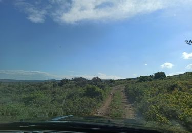 Excursión 4x4 Leucate - RB 35 Jour 1 - Photo