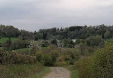 Trail Walking Florenville - Le chemin de la Roche à l'Appel  - Photo