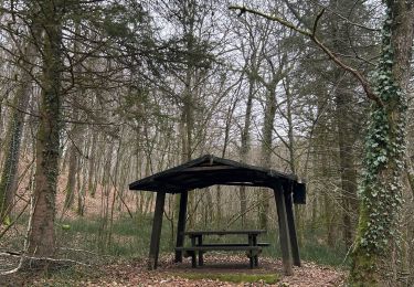 Tour Wandern Étalle - Buzenol - boucle autour de Croix Rouge (25km) - Photo