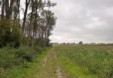 Tour Wandern Lennik - Sint Martens Lennik 7,9 km - Photo