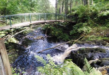 Tour Wandern  - glenarif forest park - waterfalls - Photo