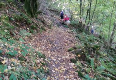 Tour Wandern Hohenfels - NISRAMONT ... les Deux Ourthes. - Photo