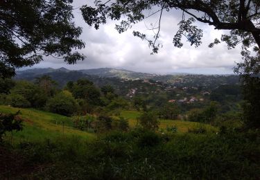 Tour Wandern Sainte-Marie - Bassin Ernoult - Photo