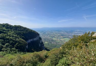 Excursión Senderismo Collonges-sous-Salève - Le Salève en boucle,  orjobet , corraterie, belvédère, grande gorge  - Photo