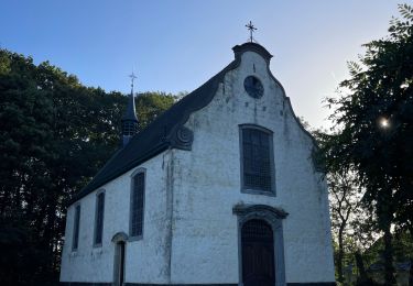 Tocht Stappen Berlare - Le parc religieux derrière la chapelle Bareldonk à Berlare - Photo