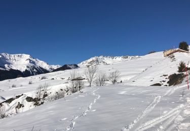 Tour Schneeschuhwandern La Plagne-Tarentaise - Rando raquette jour 3 - retour chalet  - Photo