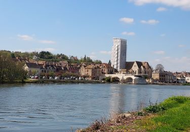 Tocht Stappen Pont-sur-Yonne - Pont sur Yonne 230419 - Photo