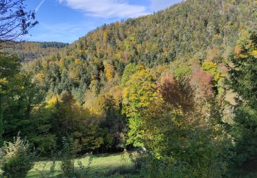 Tour Wandern Weiler - Willer sur Th Ostein - Photo