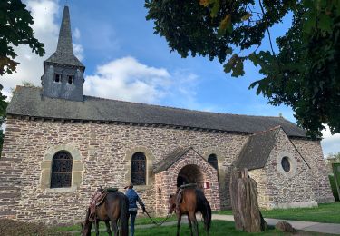 Tocht Paardrijden Néant-sur-Yvel - Broceliande  - Photo