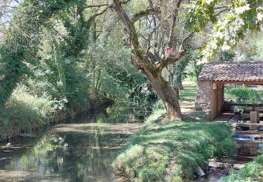 Randonnée Marche Bras - Bras Tombereau  - Photo