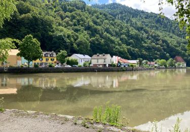 Tour Zu Fuß Haibach ob der Donau - Donau-Höhen-Rundwanderweg - Photo