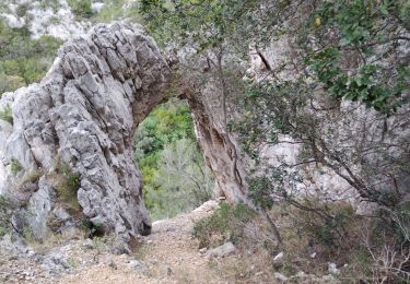 Tocht Stappen Ollioules - Les Grottes de Destel - Photo