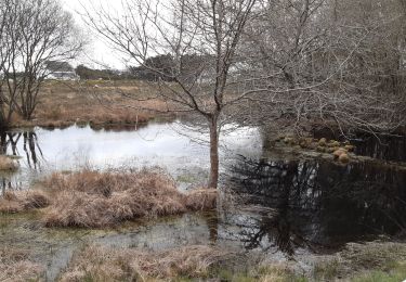 Tour Wandern Carnac - Le Menec,Carnac,anse de Põ - Photo