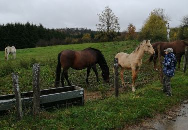 Tour Wandern Manhay - la chavée courte - Photo