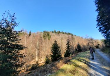 Tocht Stappen Herbeumont - source antrogne  - Photo