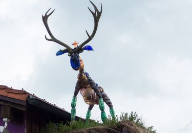 Tour Zu Fuß Grafenau - Steinpilz - Photo