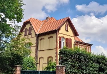 Tour Zu Fuß Salzatal - Kühlbachtalweg W 5.12 - Photo