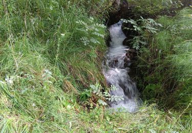 Tour Wandern Puy-Saint-Eusèbe - canal de reyssas jusqu'aux Touisses / retour par le GR Serre-Ponçon via ravin de la pisse  - Photo