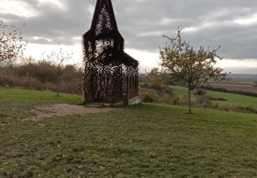 Randonnée Marche Looz - Borgloon - doorkojkerkerk - Photo