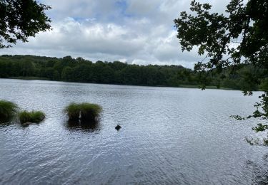 Trail Walking Champeau-en-Morvan - Lac chambaud 3 - Photo