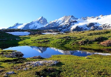 Tour Wandern Les Deux Alpes - Barrage du Chambon-Lac noir GR54 - Photo