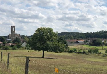 Tour Wandern Bourron-Marlotte - Bourron marlotte nemours par dame Jouannet - Photo