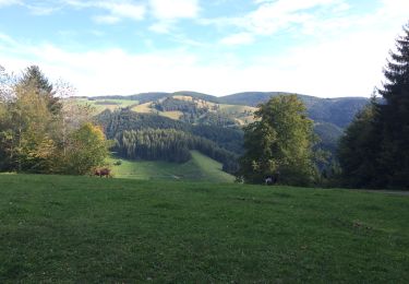 Percorso Marcia Münstertal/Schwarzwald - Spielwieg romantik - Photo