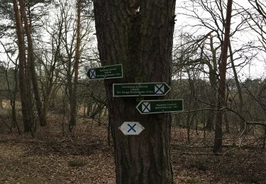 Tour Zu Fuß Mittenwalde - Wanderweg Sutschketal - Ostseite Krummer See - Photo