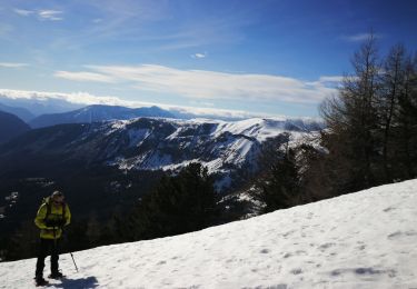 Tour Schneeschuhwandern Villars-Colmars - croix de sellanche - Photo