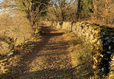 Trail Walking Limogne-en-Quercy - Limogne Malecargue variante  - Photo