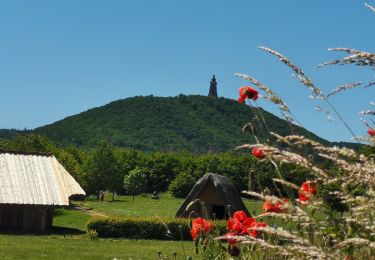 Excursión A pie Kelbra (Kyffhäuser) - Rundweg 1: Schleiferweg-Dorntal - Photo