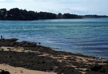 Tour Wandern Larmor-Baden - sentier du littoral depuis Berder au 21 mai 2019 - Photo