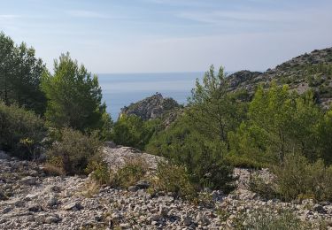 Tour Wandern Marseille - Marseille calanques devenson en-vau 17kms 840m  - Photo