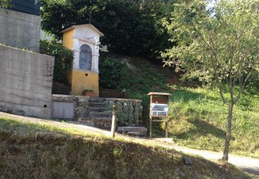 Randonnée A pied Chiampo - Il Sentiero delle Marogne - Photo