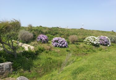 Tocht Stappen Ouessant - Lampaul - tour nord d'Ouessant - Photo