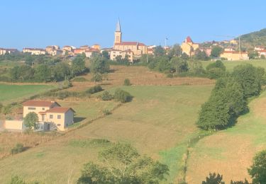 Tocht Stappen Brullioles - Reco brullioles 2 - Photo