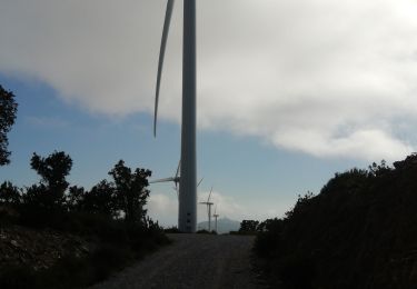 Tocht Stappen Motril - Éoliennes  - Photo