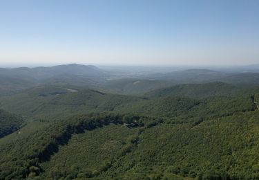 Randonnée A pied Szilvásvárad - Bükk-fennsík - Olasz-kapui Tanösvény - Photo