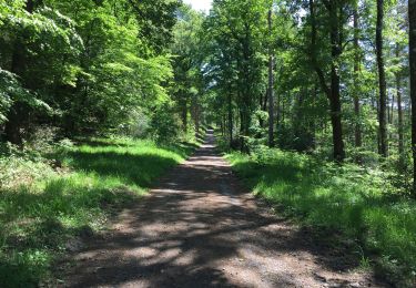 Percorso Bici ibrida Verviers - Bois du Staneux 1 - Photo