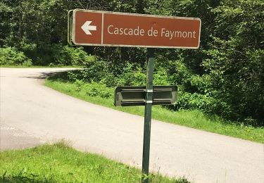 Tour Wandern Le Val-d'Ajol - Cascade de Faymont - Photo