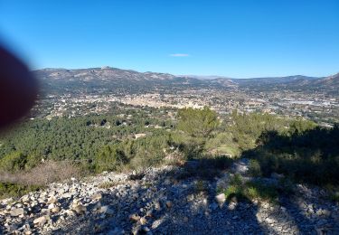 Trail Walking Carnoux-en-Provence - Carnoux - Photo