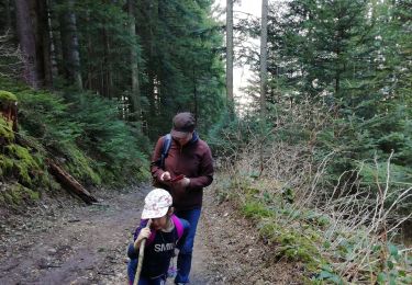 Tocht Stappen Autrans-Méaudre en Vercors - Le bois du Claret - Photo