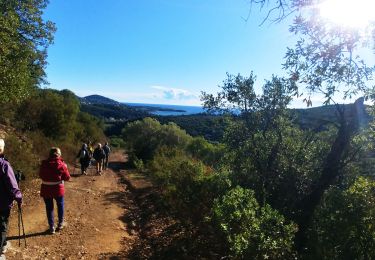 Trail Walking Saint-Raphaël - Les Ferrièrres,les jardins de Diane,la ferme Philippe - Photo