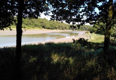 Excursión Senderismo Auray - Le long du Loch  _ Rostevel 13/07/2020 - Photo